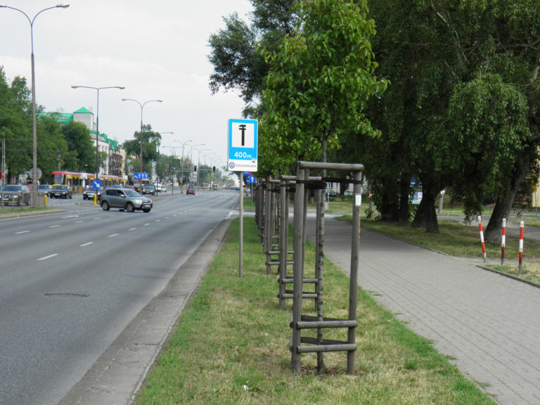 Ruszają wiosenne nasadzenia