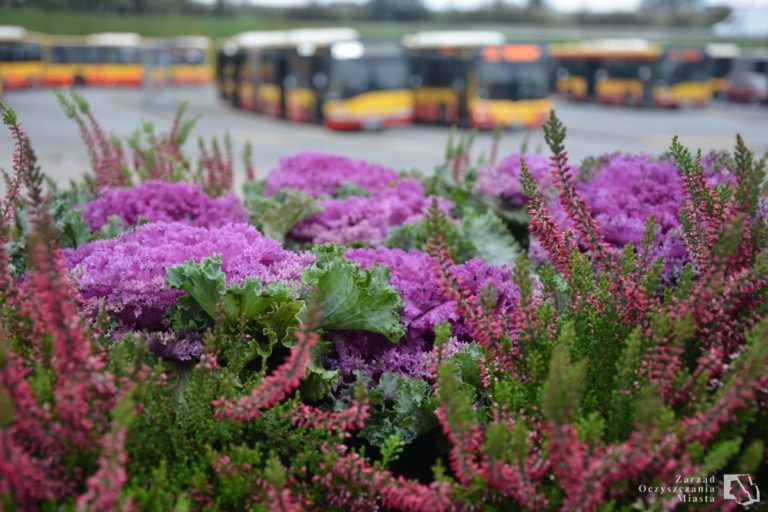 Jesiennie na pętlach