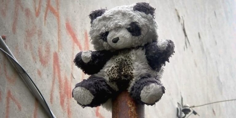 Festiwal literacki im. Miśka z Męcińskiej